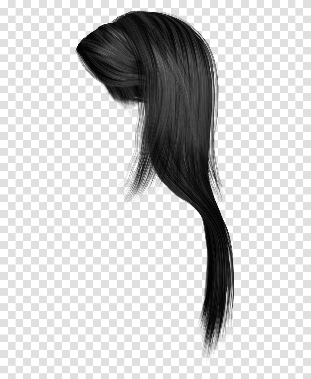 Download Women Hair Photo For Designing Projects, Black Hair, Person, Bird, Animal Transparent Png