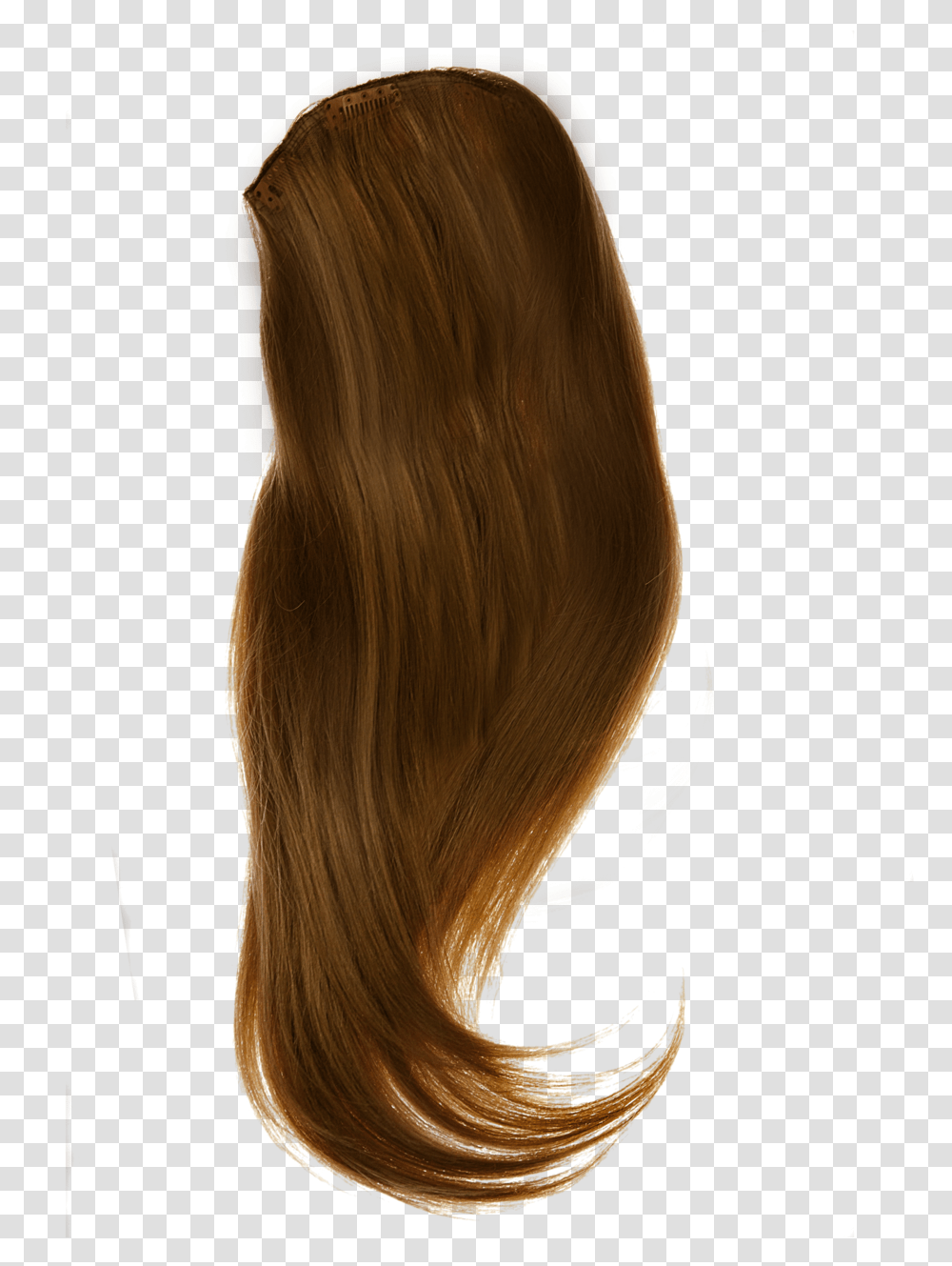 Download Women Hair, Wig, Person, Human Transparent Png