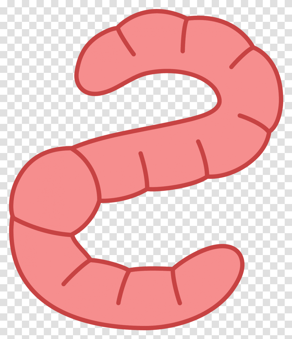 Download Worms Clipart Pink Worm Pink Worm, Teeth, Mouth, Tongue Transparent Png
