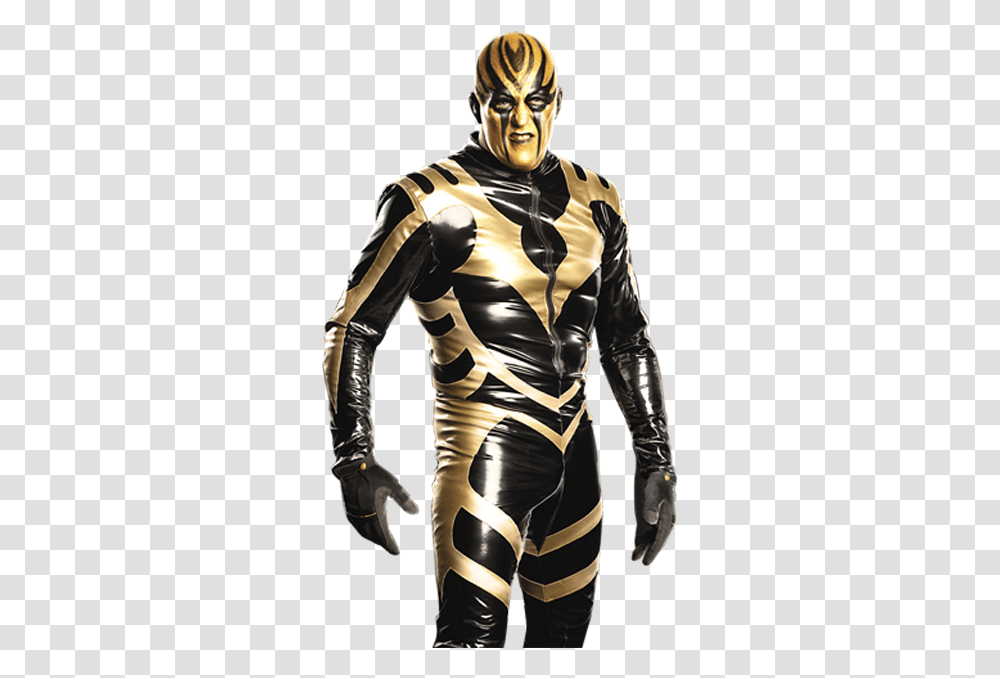 Download Wwe13 Render Goldust 2173 1000 Gold Dust Wwe All Gold, Long Sleeve, Clothing, Apparel, Person Transparent Png