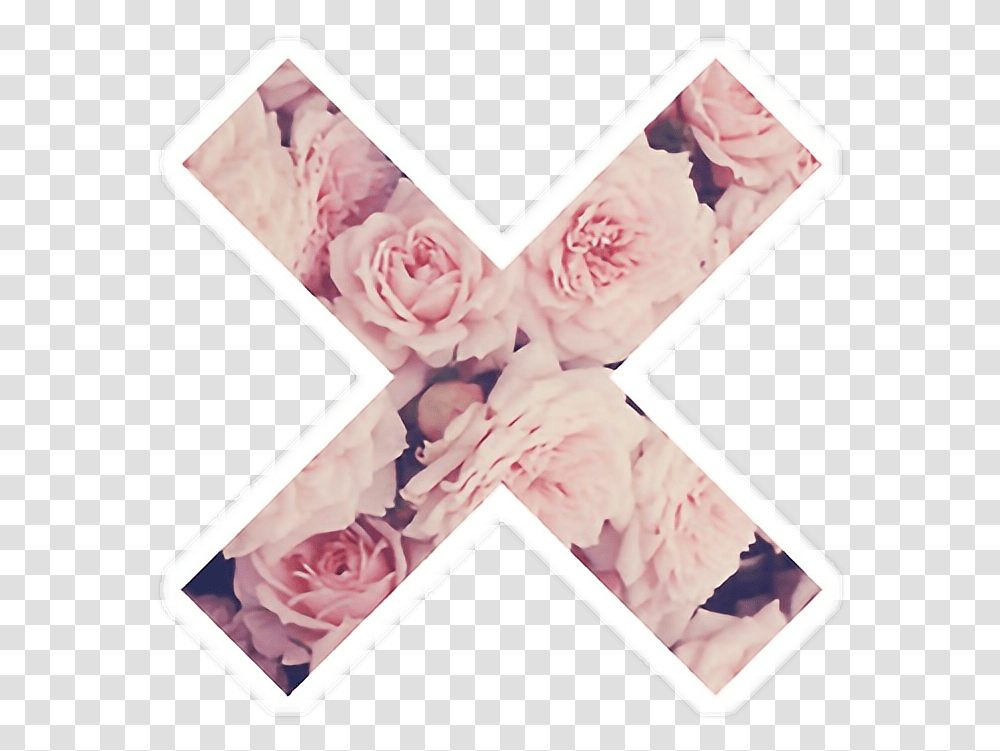 Download X Tumblr Sticker Flower Flowers Desktop Fondos De Pantalla Hd Para Mujer, Collage, Poster, Advertisement, Text Transparent Png
