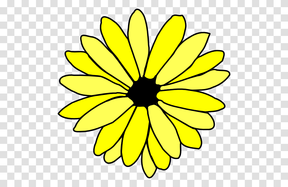 Download Yellow Daisy Clipart, Plant, Flower, Blossom, Daisies Transparent Png