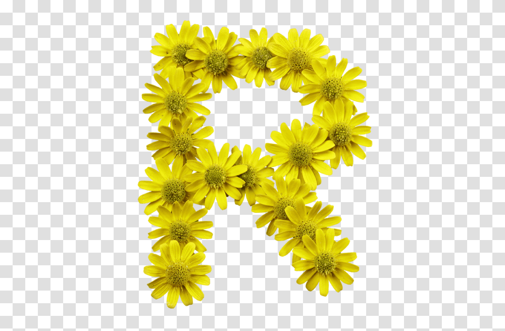 Download Yellow Flowers Font Letters With Yellow Flower Flores Amarillas Con Letras, Plant, Blossom, Asteraceae, Daisy Transparent Png