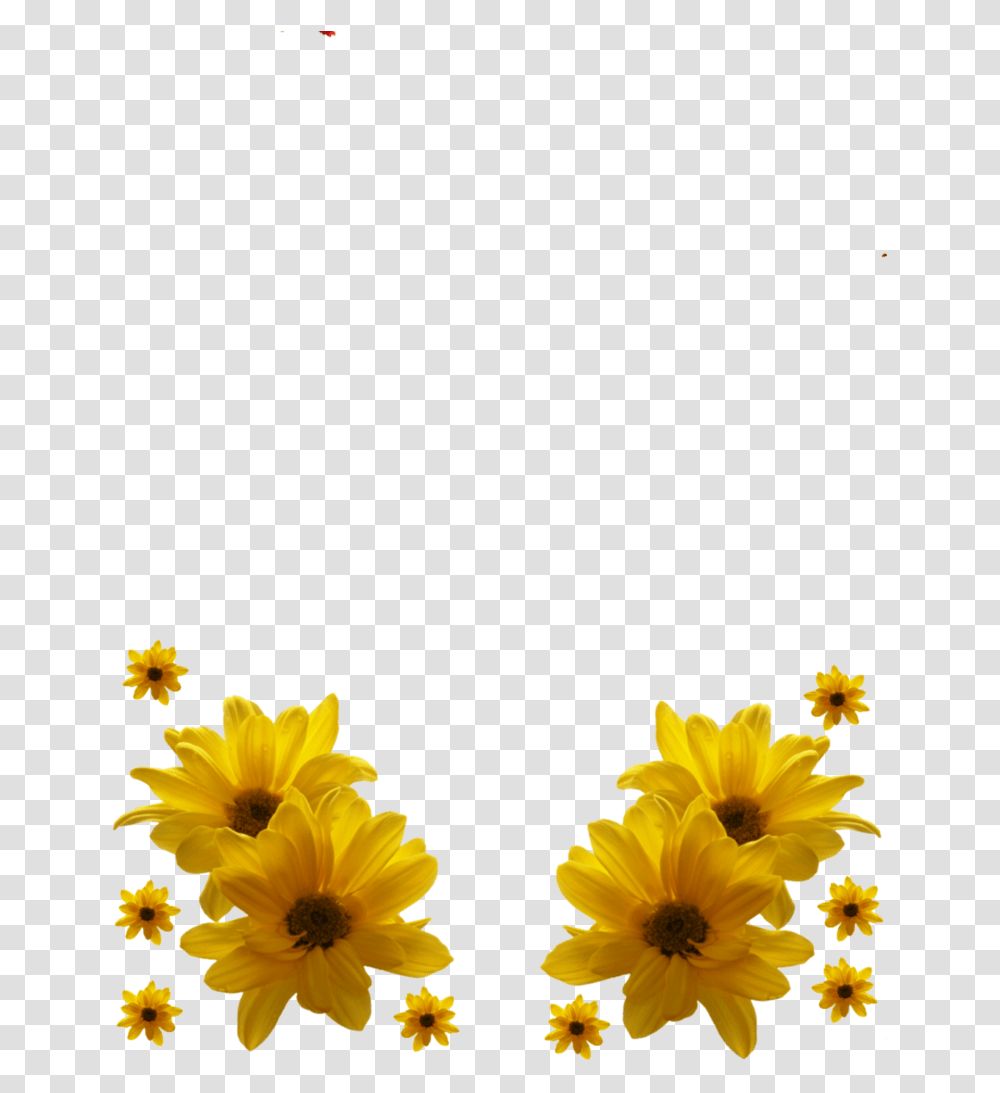 Download Yellow Flowers Frame Uokplrs Hd Birthday Wishes Flower, Plant, Sunflower, Petal, Daisy Transparent Png