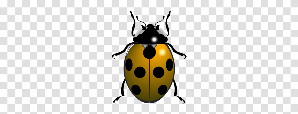 Download Yellow Ladybug Clipart Ladybird Beetle Clip Art, Musical Instrument, Silhouette Transparent Png