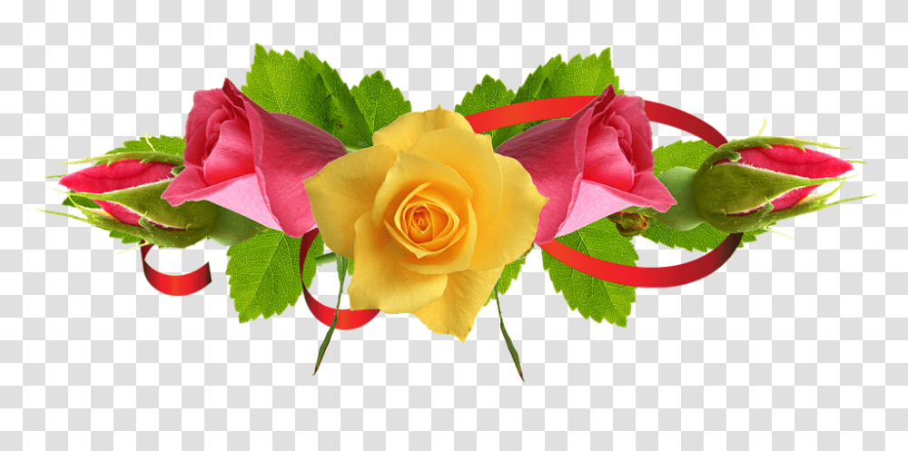 Download Yellow Rose Flower Free Urs Mujahid E Millat 2020, Plant, Blossom, Petal Transparent Png
