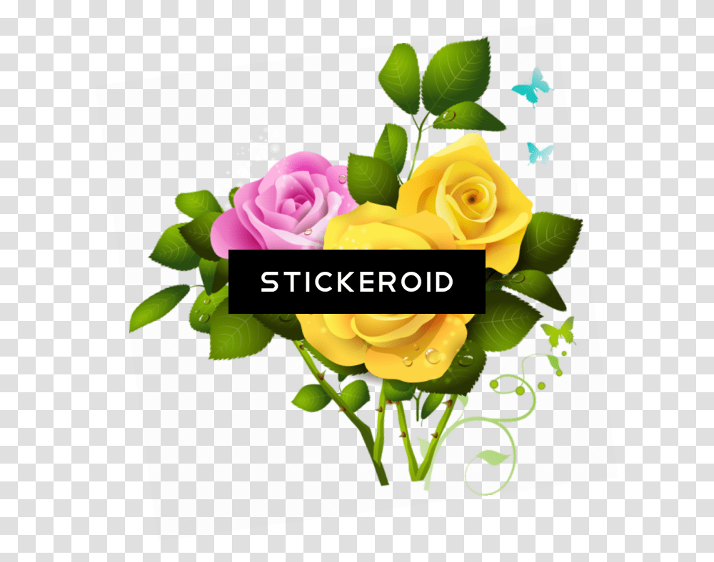 Download Yellow Rose Flowers Image With No Background Rose Hd Images, Graphics, Art, Plant, Floral Design Transparent Png