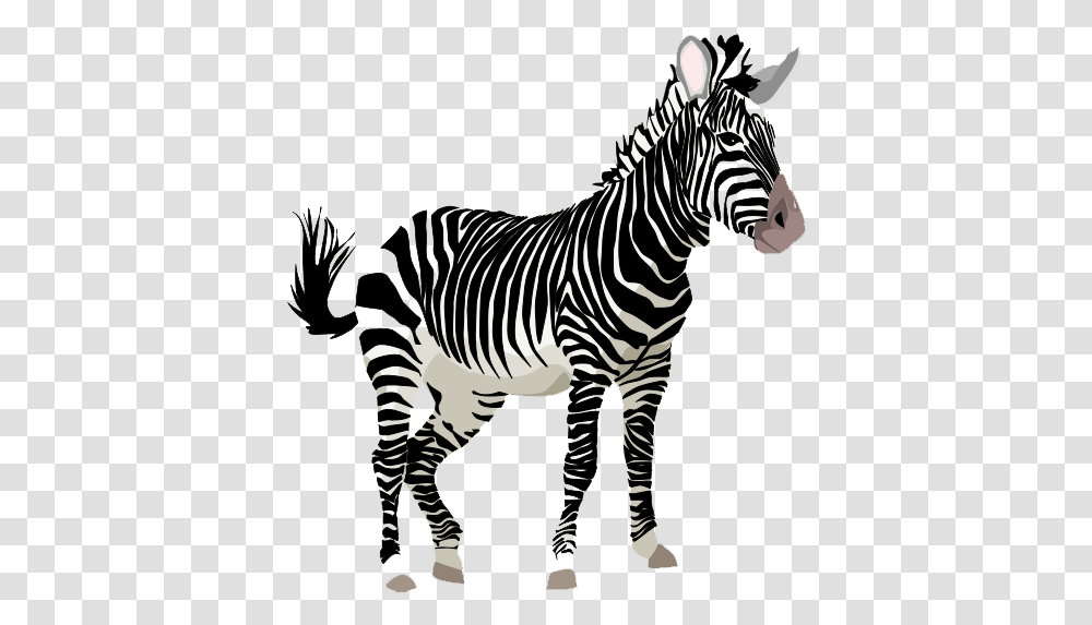 Download Zebra Clipart Zebra Clipart, Wildlife, Mammal, Animal, Tarmac Transparent Png
