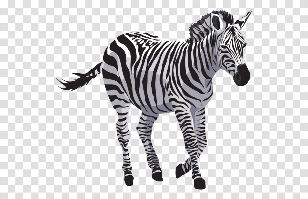 Download Zebra File Zebra, Wildlife, Mammal, Animal, Road Transparent Png
