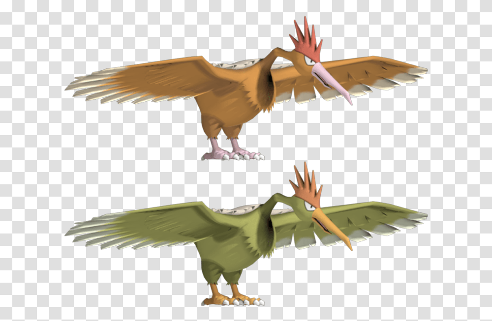 Download Zip Archive Eagle, Bird, Animal, Dragon, Dinosaur Transparent Png