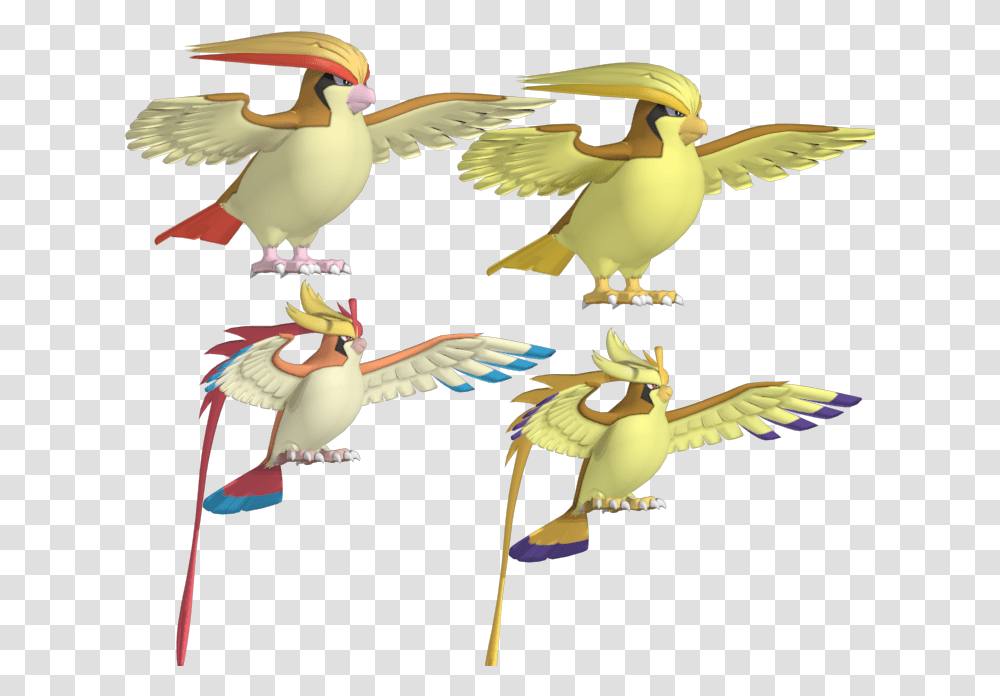 Download Zip Archive Pidgeotto Pokemon 3d Model, Bird, Animal, Flying, Eagle Transparent Png