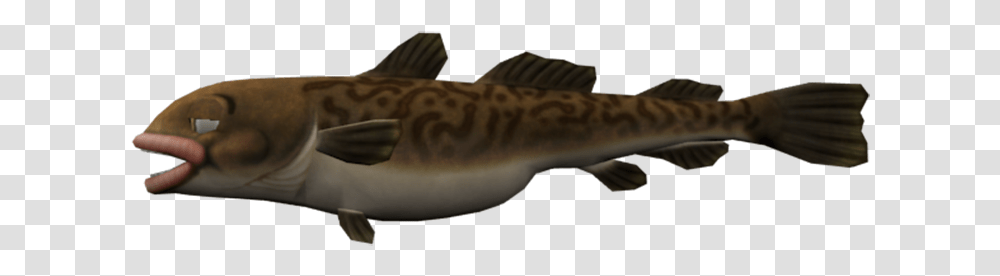 Download Zip Archive Tiger Shark, Fish, Animal, Cod, Perch Transparent Png