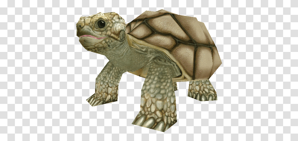Download Zip Archive Zoo Tycoon 2 Tortoise, Turtle, Reptile, Sea Life, Animal Transparent Png