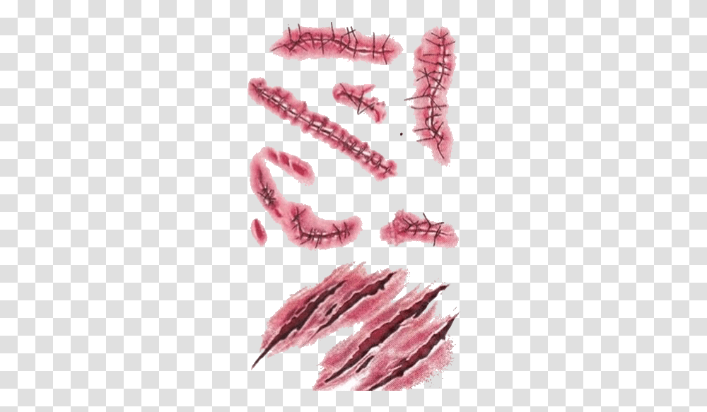 Download Zombie Scars Scars Overlay, Mouth, Lip, Animal, Invertebrate Transparent Png