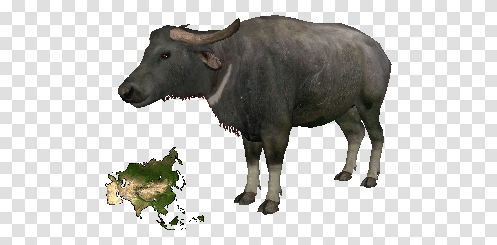 Download Zt2 Water Buffalo Hd Uokplrs Portable Network Graphics, Cow, Cattle, Mammal, Animal Transparent Png