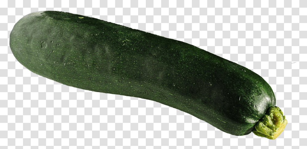 Download Zucchini Image For Free Zucchini, Plant, Squash, Produce, Vegetable Transparent Png