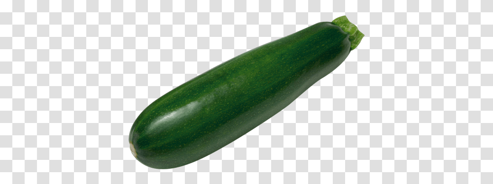 Download Zucchini Image With No Zucchini, Plant, Squash, Produce, Vegetable Transparent Png