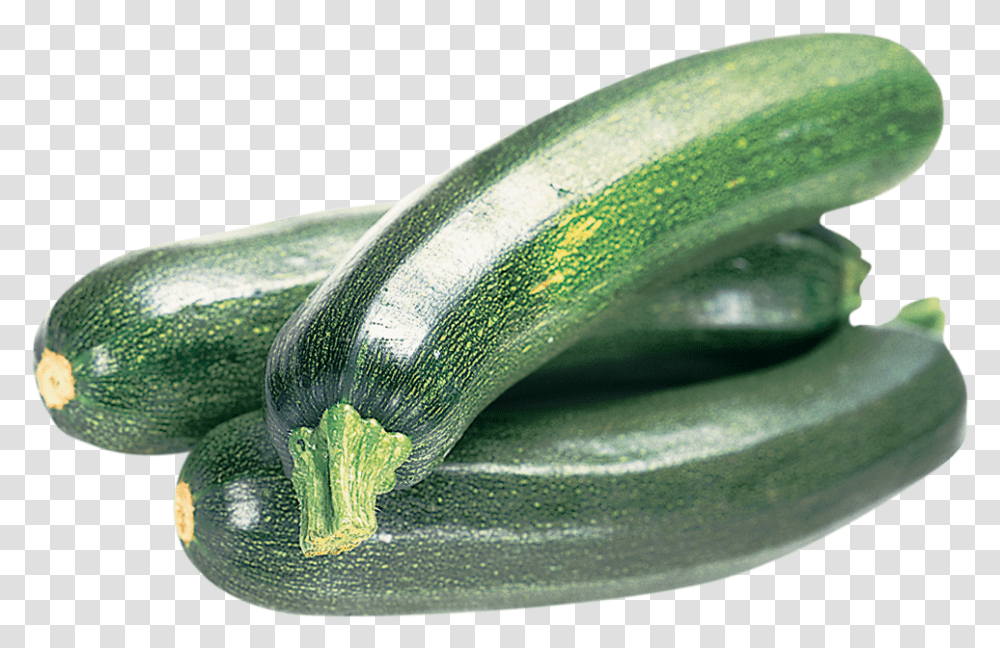 Download Zucchini Zucchini, Plant, Squash, Produce, Vegetable Transparent Png