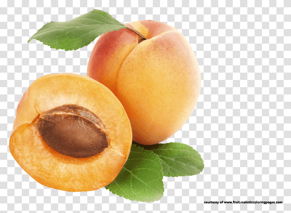 Downloads 7 Apricot Royalty Free Clipart Fruit Names, Plant, Food, Produce, Orange Transparent Png