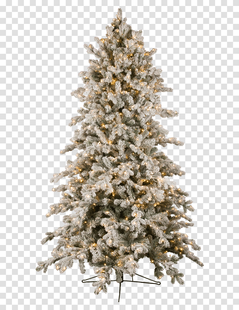 Downswept Slim Snowy Douglas Fir Tree Flocked Christmas Tree, Ornament, Plant, Vegetation Transparent Png