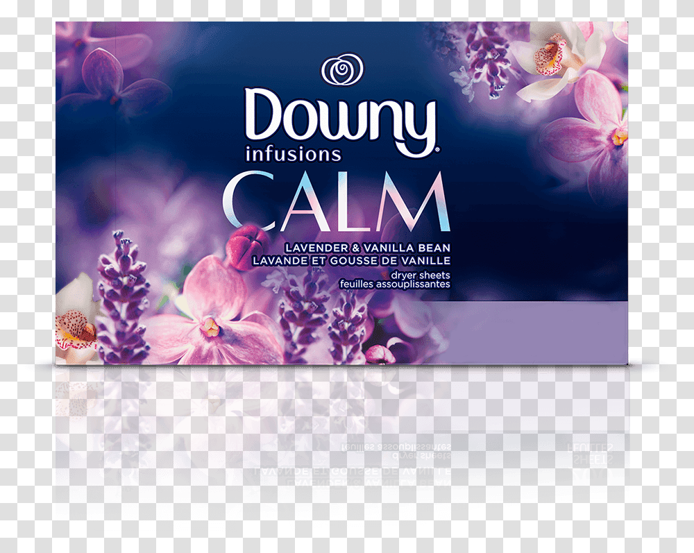 Downy Infusions Dryer Sheets, Flower, Plant, Purple, Flyer Transparent Png