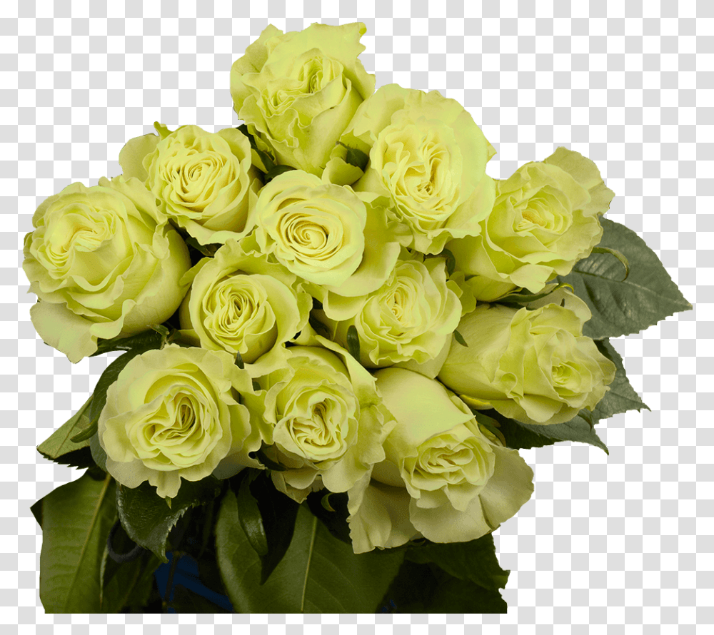 Dozen Green Roses Cheap Fresh Flowers Floribunda, Plant, Blossom, Flower Bouquet, Flower Arrangement Transparent Png
