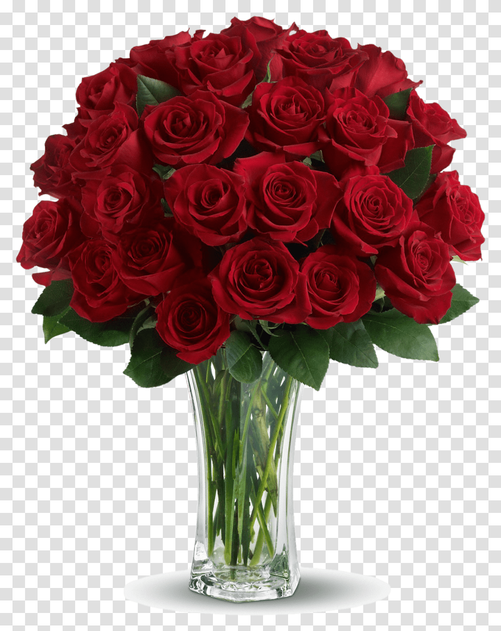 Dozen Red Roses, Plant, Flower, Blossom, Flower Bouquet Transparent Png