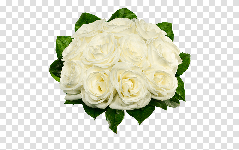 Dozen White Roses, Plant, Flower, Blossom, Flower Bouquet Transparent Png