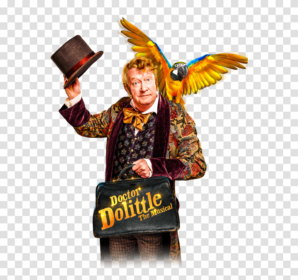Dr Dolittle The Musical, Performer, Person, Bird Transparent Png