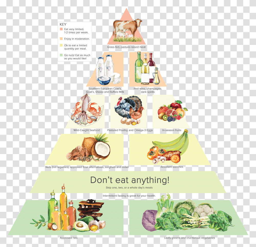 Dr Gundry's Food Pyramid Transparent Png