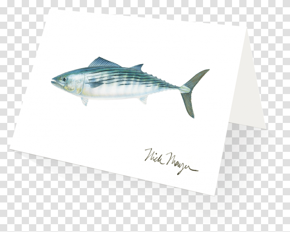 Dr Seuss Fish Clipart Black And White Striper Bass, Tuna, Sea Life, Animal, Bonito Transparent Png