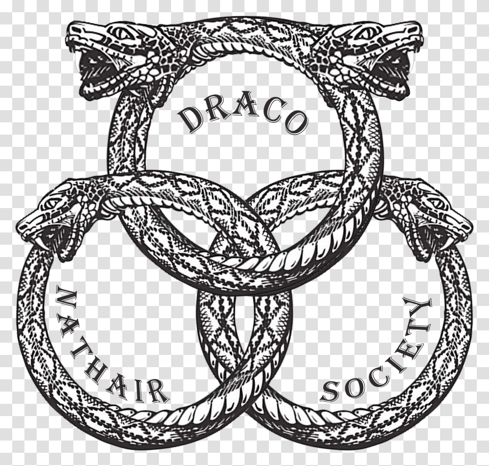 Draco Nathair Society, Horseshoe, Buckle, Emblem Transparent Png