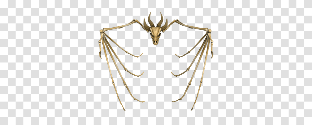 Dragon Animals, Invertebrate, Insect, Spider Transparent Png