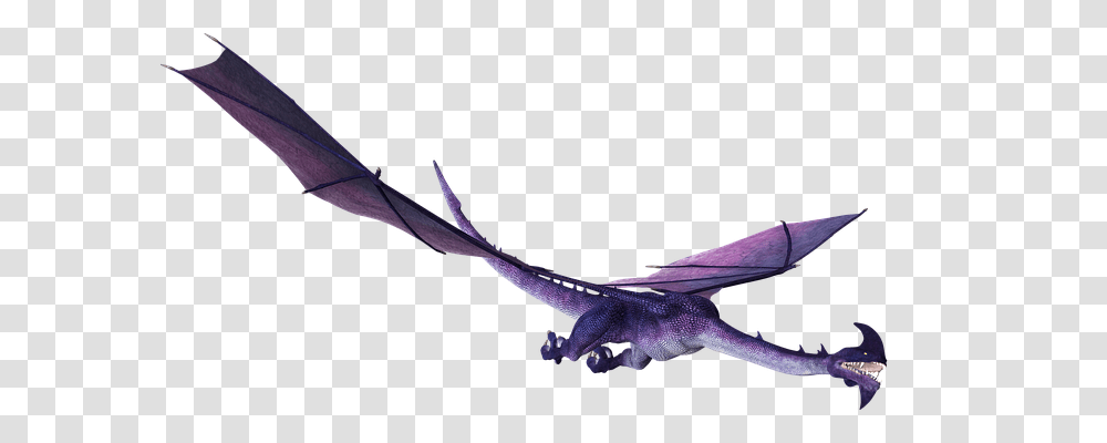 Dragon Animals, Flying, Bird, Lizard Transparent Png