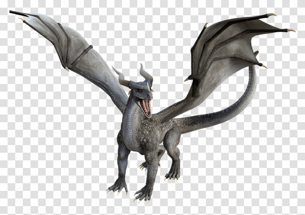 Dragon 3d Fantasy Free Image On Pixabay Dragon, Bird, Animal, Person, Human Transparent Png