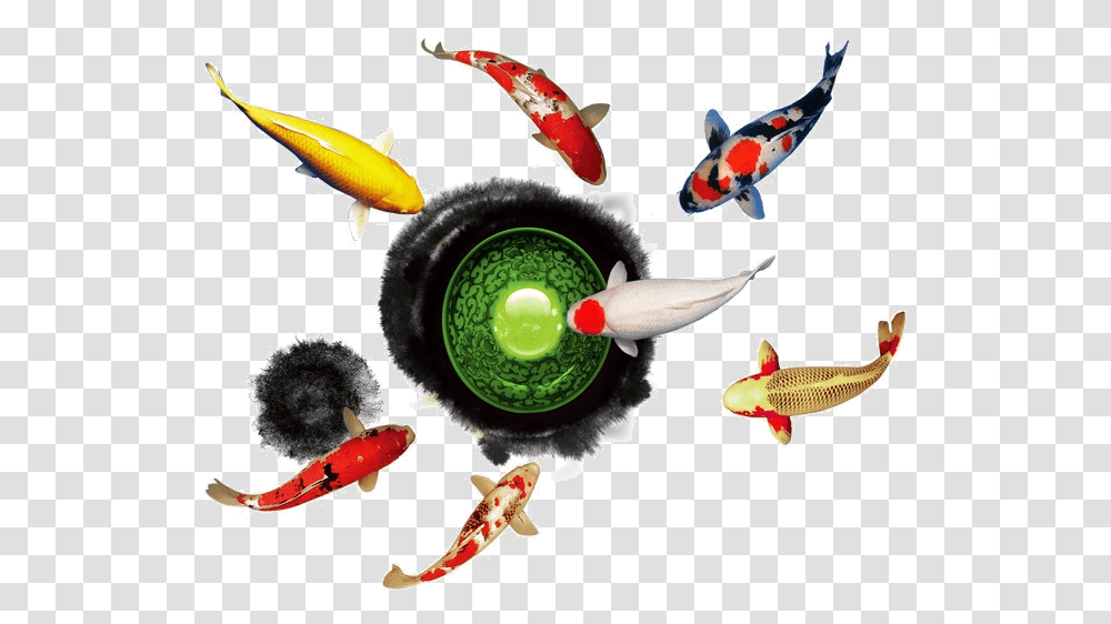Dragon Ball Fish Play Clipart Goldfish Image And Insect, Animal, Koi, Carp, Sea Life Transparent Png