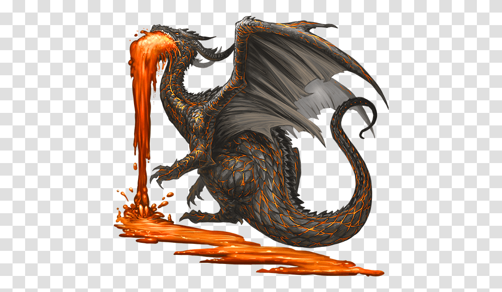 Dragon, Bird, Animal, Painting Transparent Png