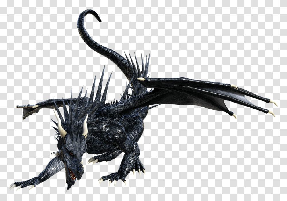 Dragon Black Animal Free Image On Pixabay, Spider, Invertebrate, Arachnid Transparent Png