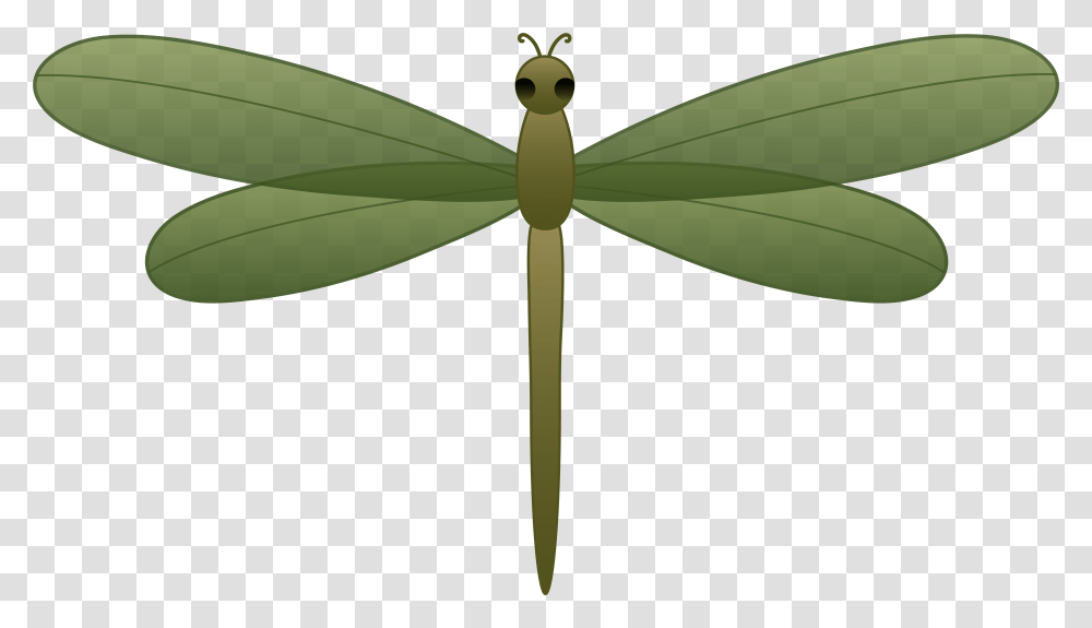 Dragon Border Dragon Border New Tattoo Dragonfly Green Dragon Fly Cartoon, Insect, Invertebrate, Animal, Anisoptera Transparent Png