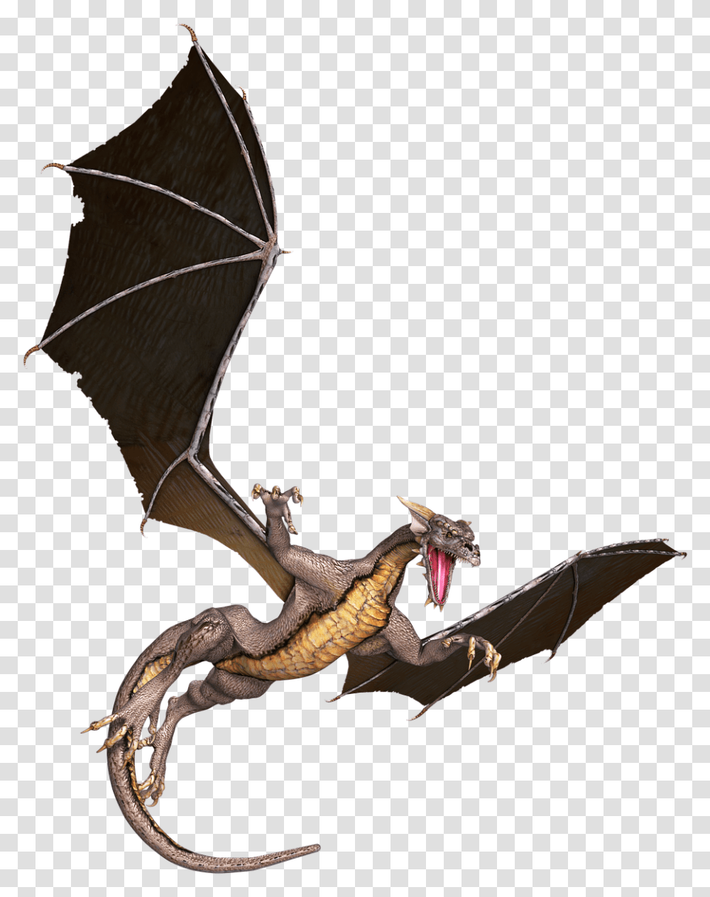 Dragon Brown Flying Dragon, Animal, Wildlife, Bat, Mammal Transparent Png