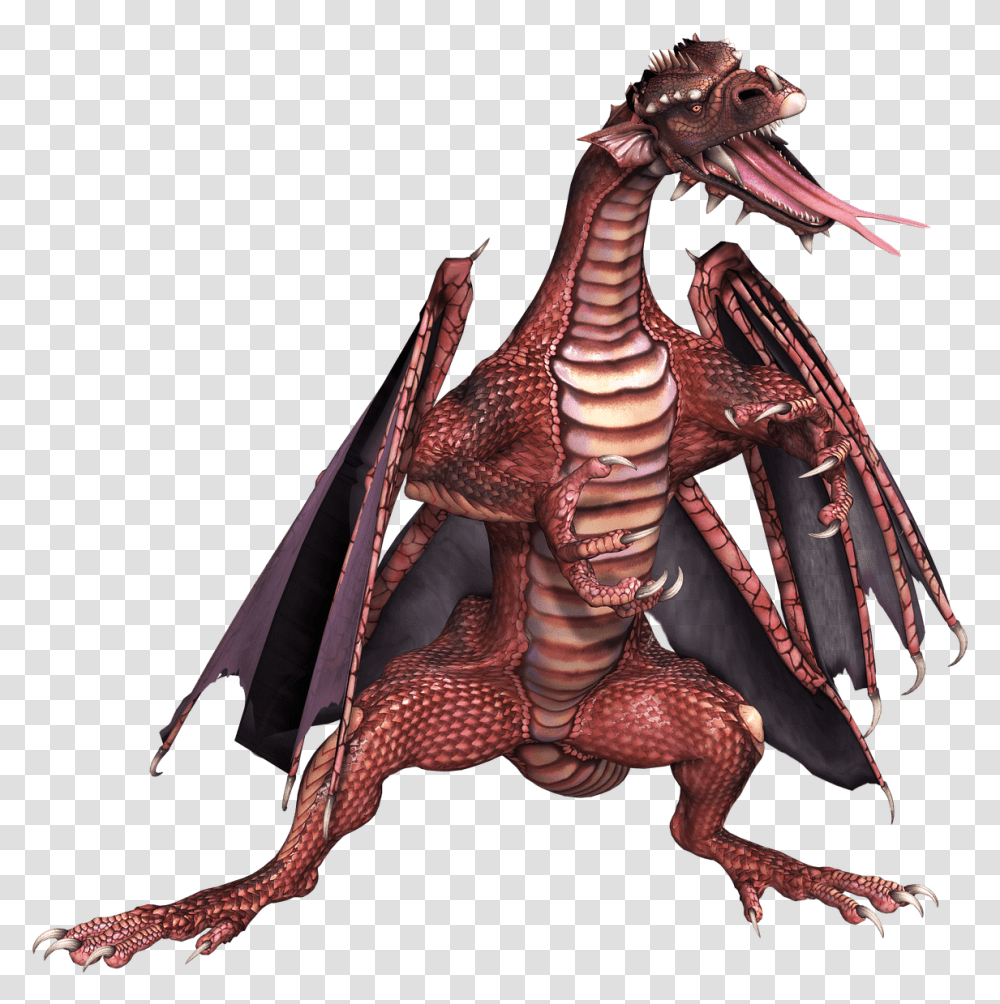 Dragon Dragon Standing Up, Animal, Reptile, Dinosaur, Skeleton Transparent Png