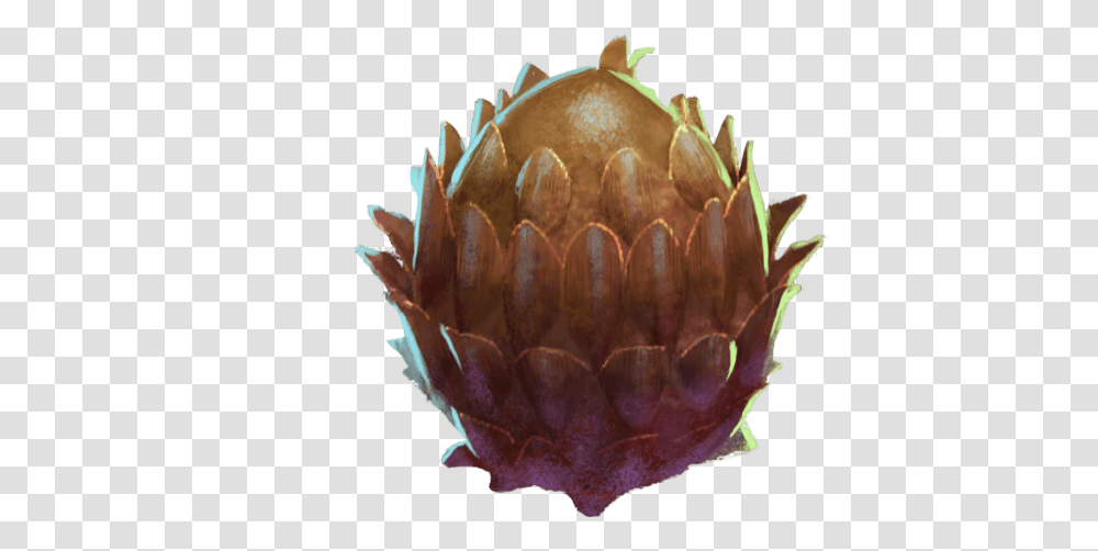 Dragon Egg Wizards Unite Wiki 1062635 Images Pngio Fresh, Plant, Produce, Food, Vegetable Transparent Png