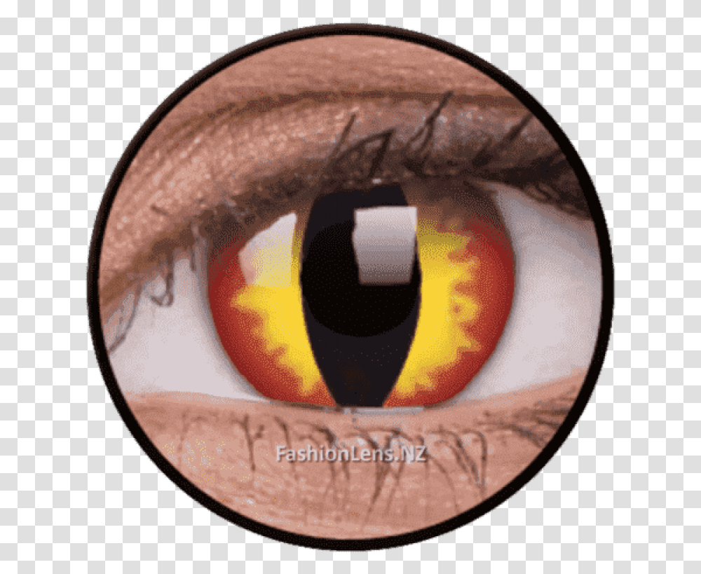 Dragon Eyes, Contact Lens, Egg, Food Transparent Png