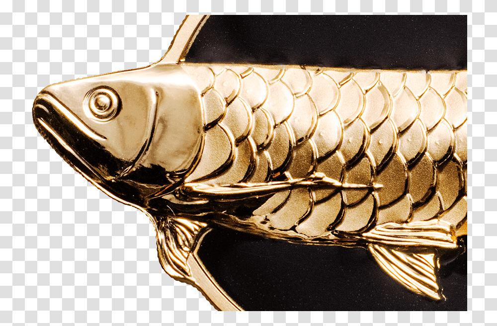 Dragon Fish, Animal, Invertebrate, Bronze, Insect Transparent Png