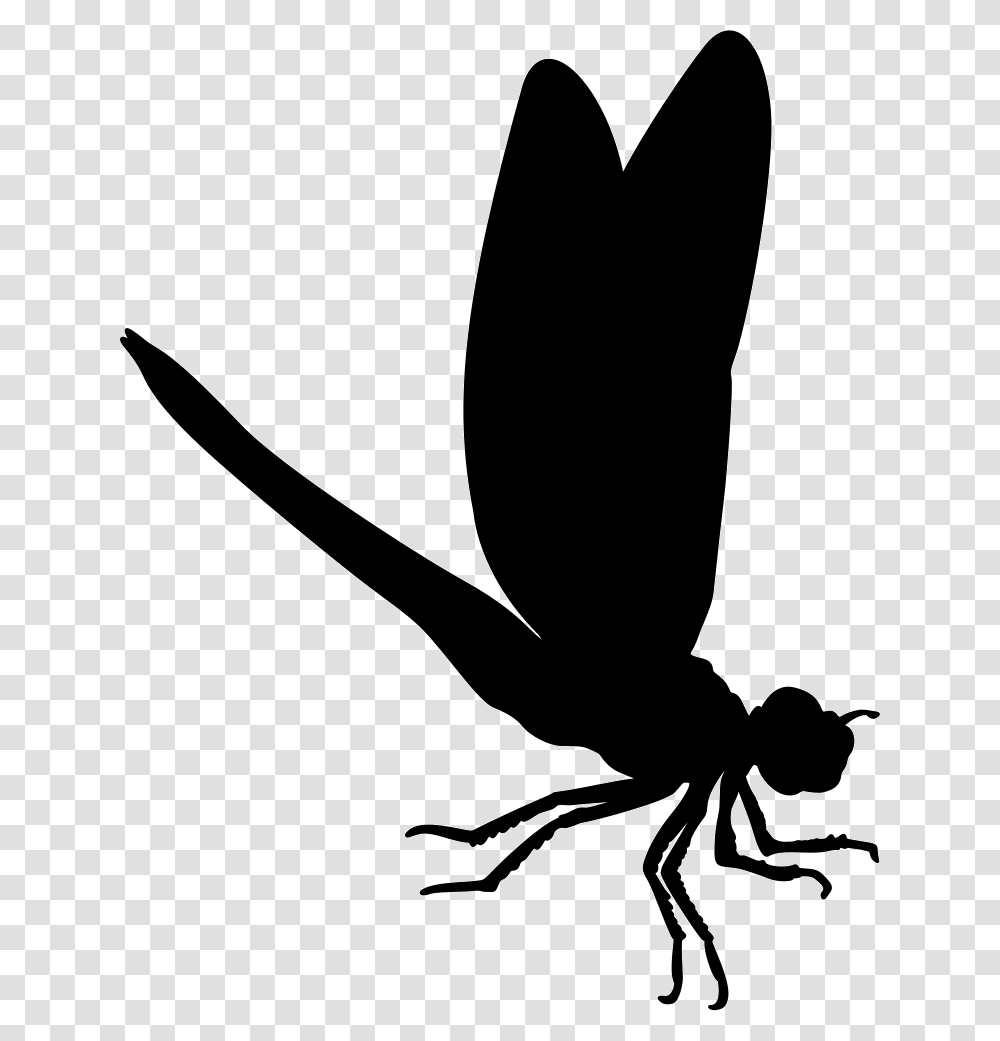 Dragon Fly Insect Animal Shape Icon Free Download, Silhouette, Bird, Invertebrate, Stencil Transparent Png