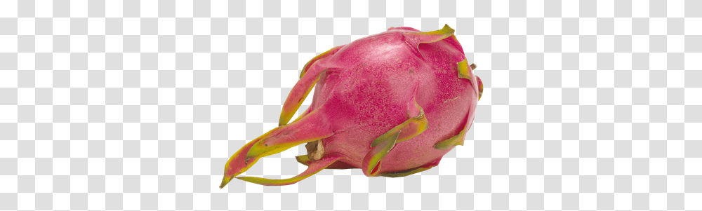 Dragon Fruit 1 Ea Pitahaya, Plant, Produce, Food, Petal Transparent Png