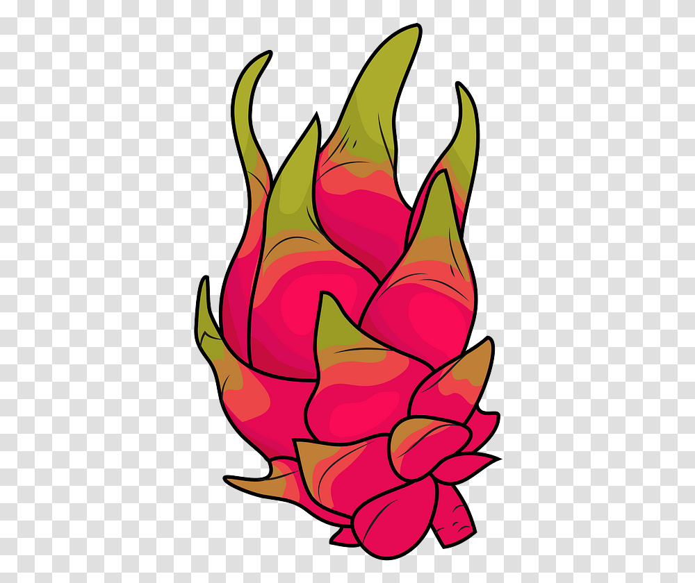 Dragon Fruit Clipart Dragon Fruit Clip Art, Ornament, Pattern, Fractal, Plant Transparent Png