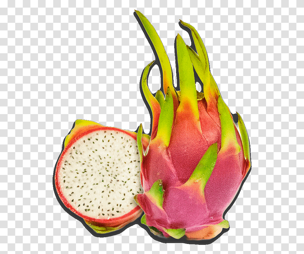Dragon Fruit Clipart Pitaya, Plant, Food, Flower, Blossom Transparent Png