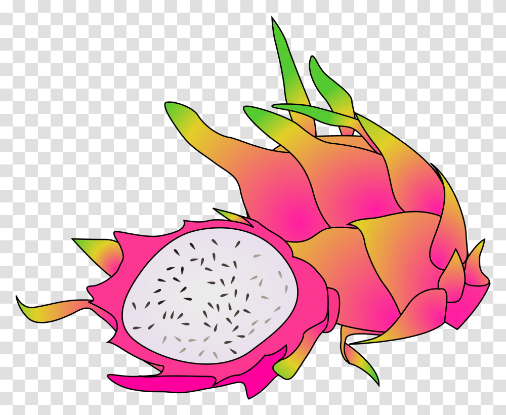 Dragon Fruit Clipart, Plant, Sea Life, Animal, Flower Transparent Png