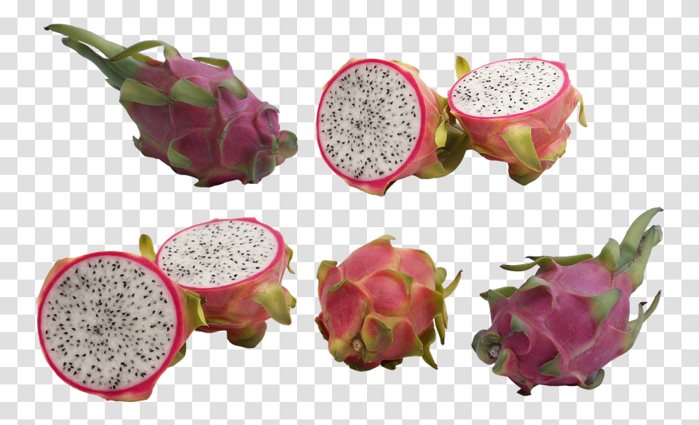 Dragon Fruit Dragon Fruit For Dengue, Plant, Food, Rose, Flower Transparent Png